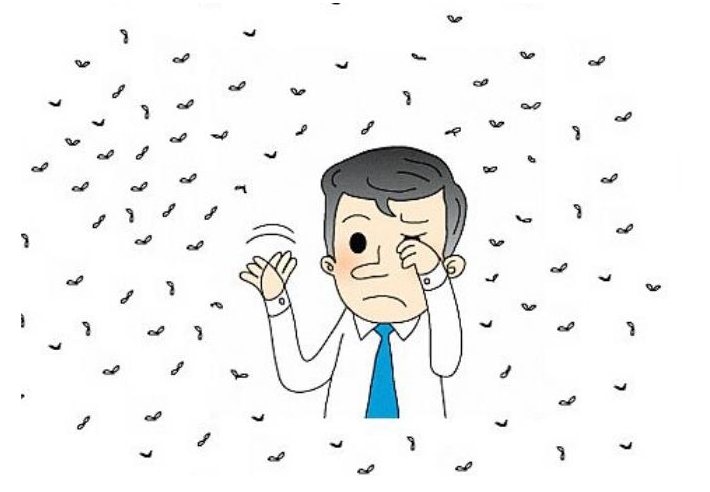 飞蚊症是如何影响视力健康的？